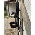 Bridon equitrense