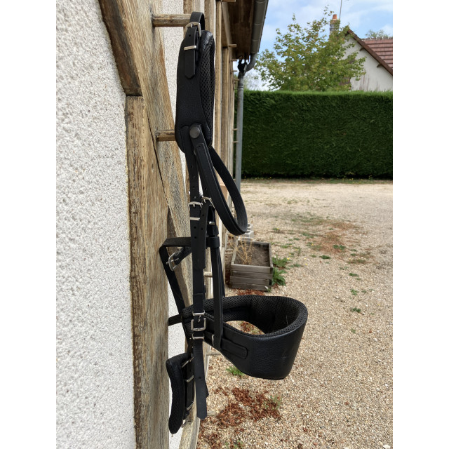 Bridon equitrense