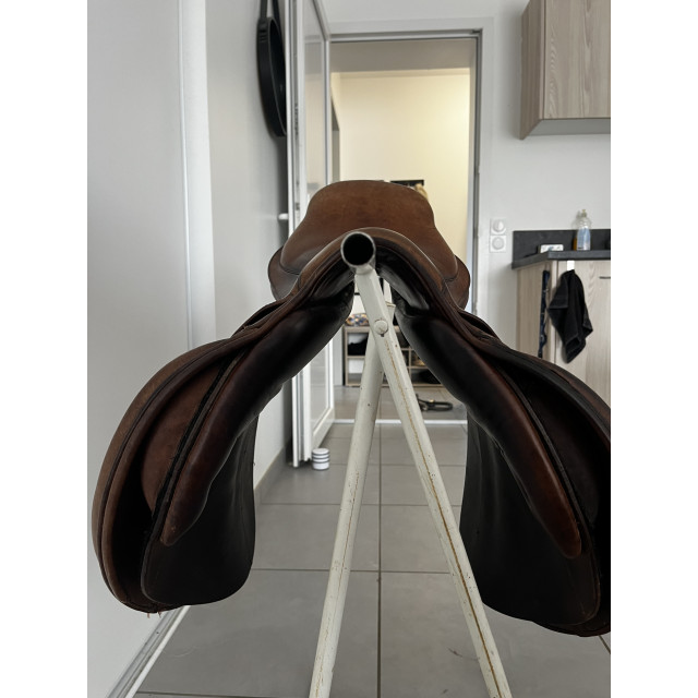 Selle mixte orientée obstacle  Éric Thomas Chantilly — 17,5"