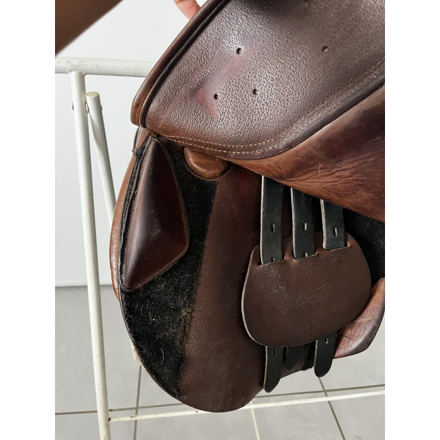Selle mixte orientée obstacle  Éric Thomas Chantilly — 17,5"