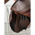 Selle mixte orientée obstacle  Éric Thomas Chantilly — 17,5"
