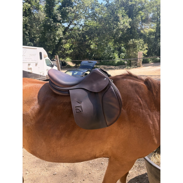 Selle mixte CHILDERIC