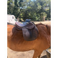 Selle mixte CHILDERIC