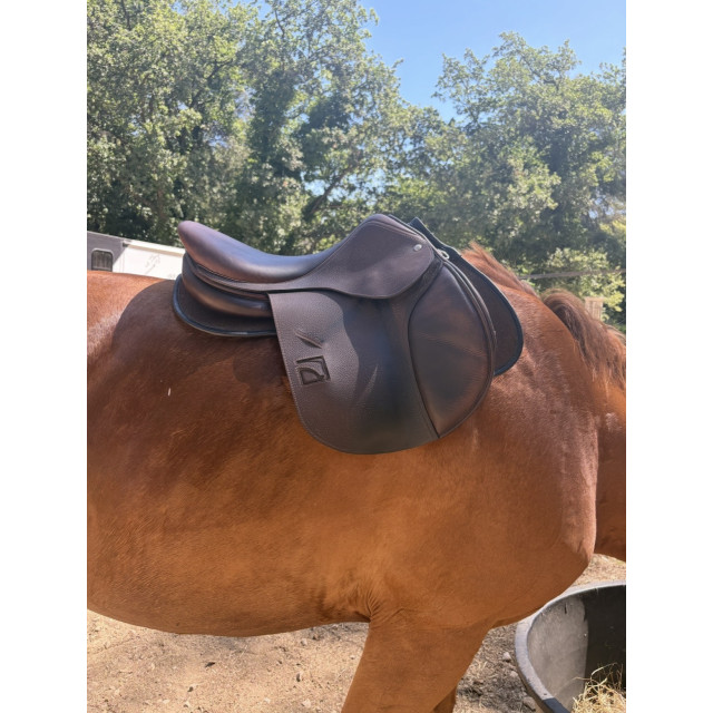 Selle mixte CHILDERIC