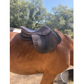 Selle mixte CHILDERIC
