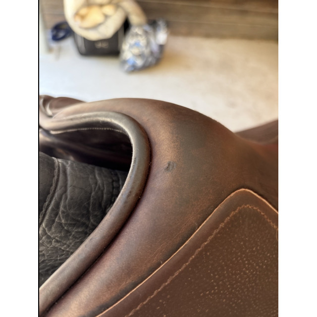 Selle mixte CHILDERIC