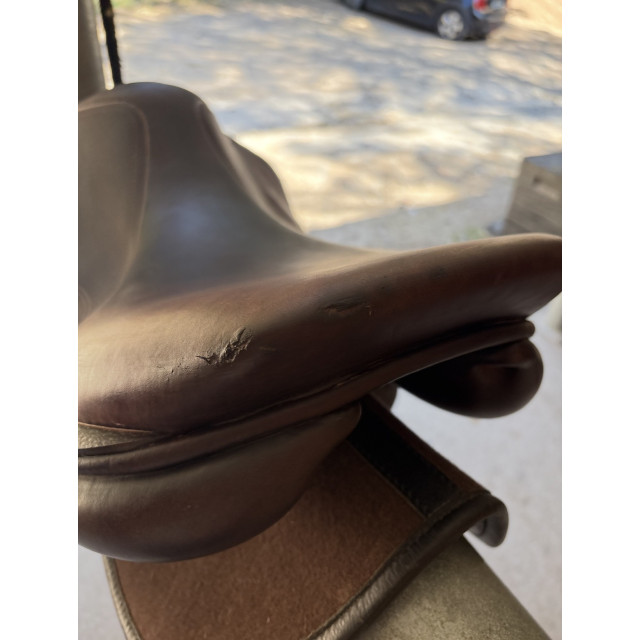 Selle mixte CHILDERIC