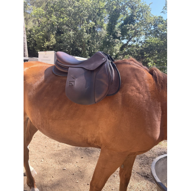 Selle mixte CHILDERIC