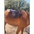 Selle mixte CHILDERIC