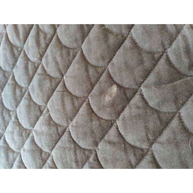 Tapis Equitheme étoiles