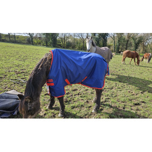 couverture poney