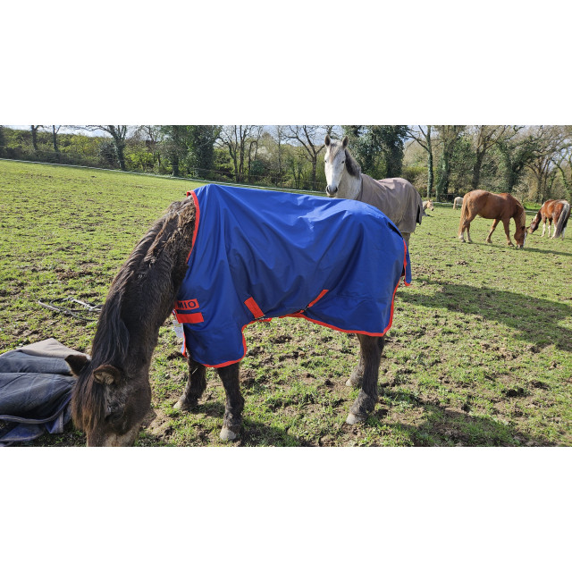 couverture poney