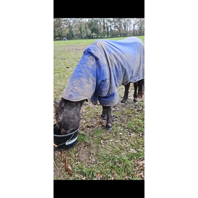 couverture poney