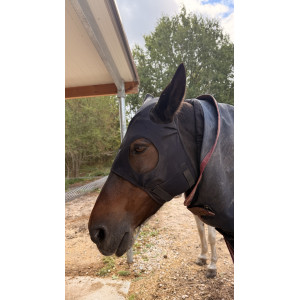 Masque Fenwick