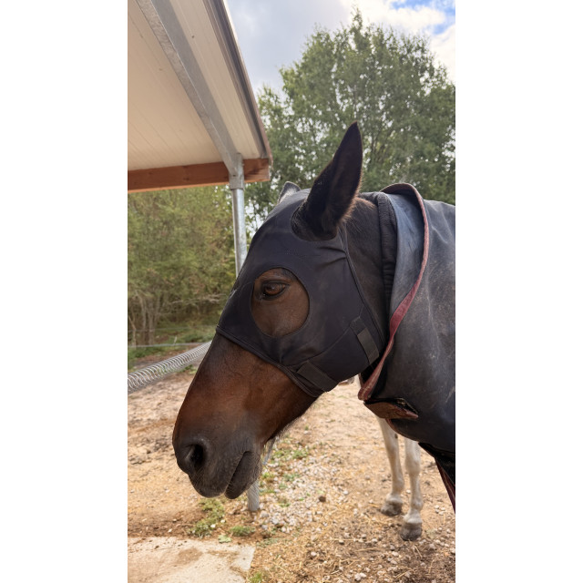 Masque Fenwick