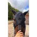 Masque Fenwick