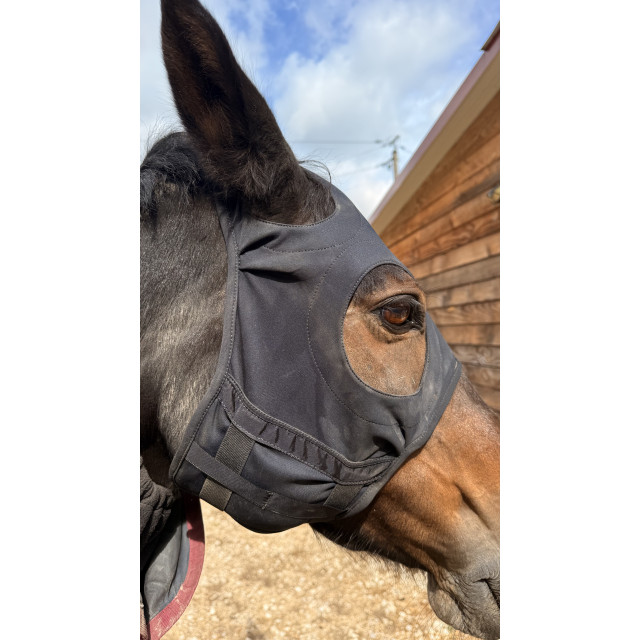 Masque Fenwick