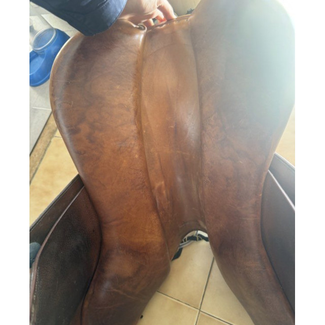 Selle Mixte Meyer