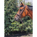 Bridon en cuir marron avec noseband amovible