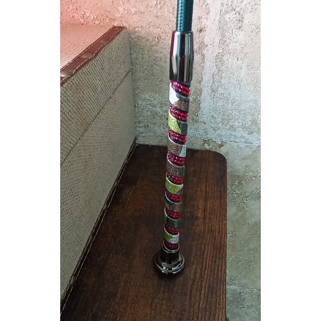Stick de dressage strass