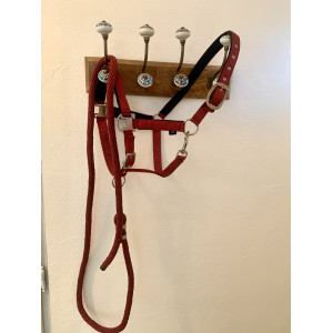Lot licol et longe bordeaux