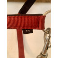 Lot licol et longe bordeaux