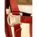 Lot licol et longe bordeaux