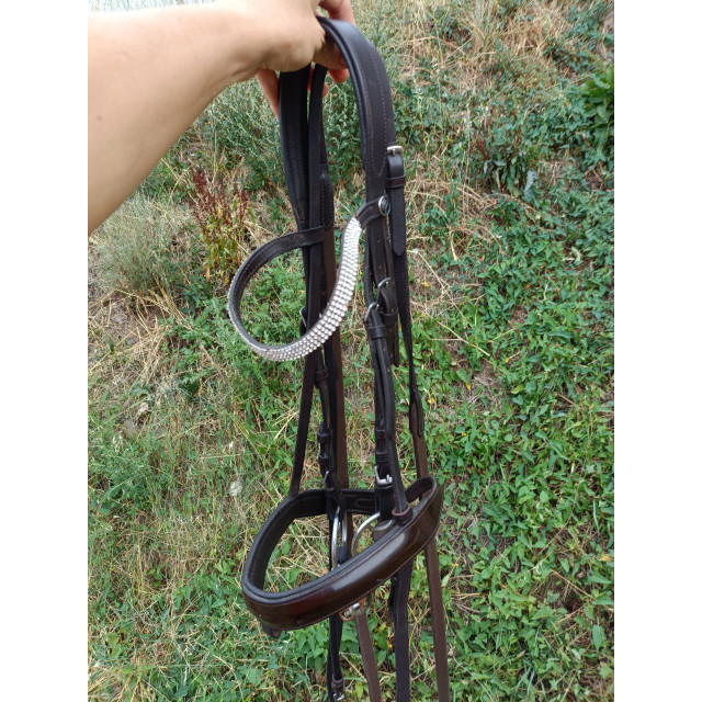 Filet dressage marron