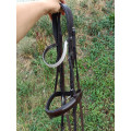 Filet dressage marron