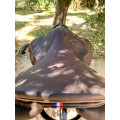 Selle Meyer Selles