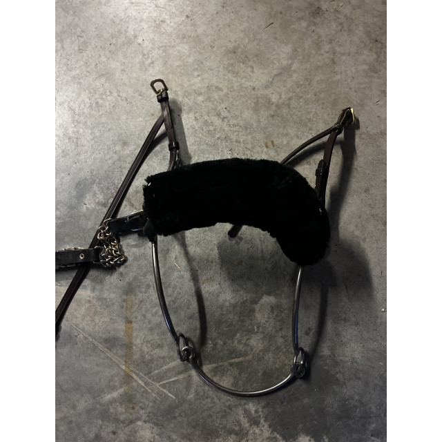 hackamore