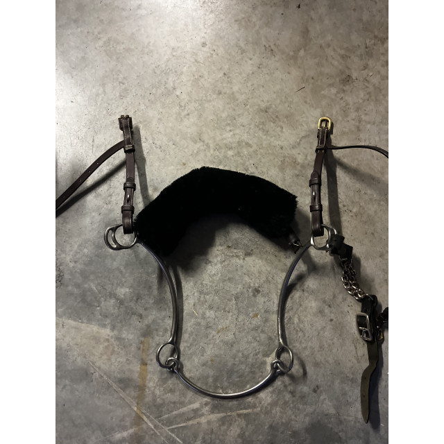 hackamore