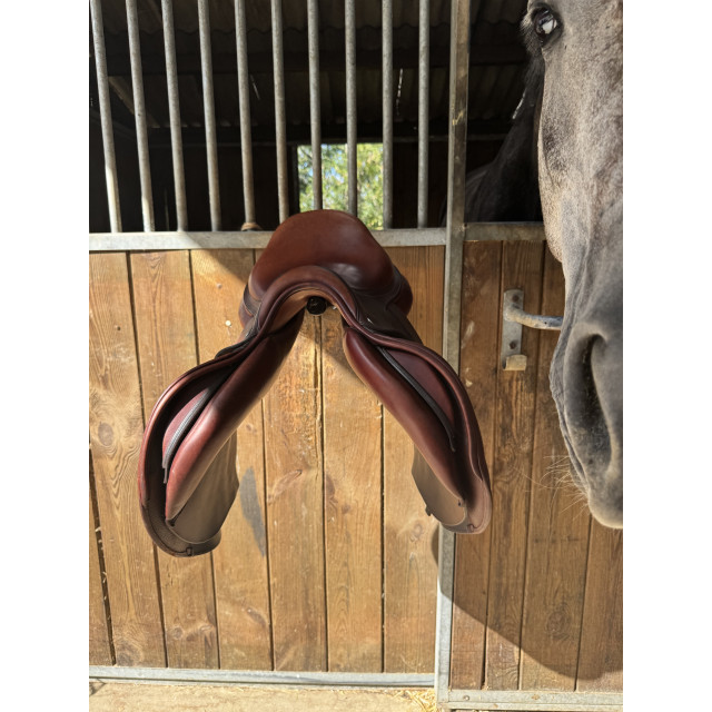 Selle CWD