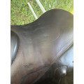 selle Prestige Xpérience