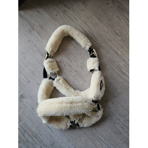 Licol Kentucky mouton
