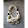 Licol Kentucky mouton
