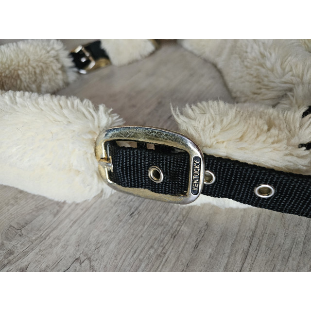 Licol Kentucky mouton