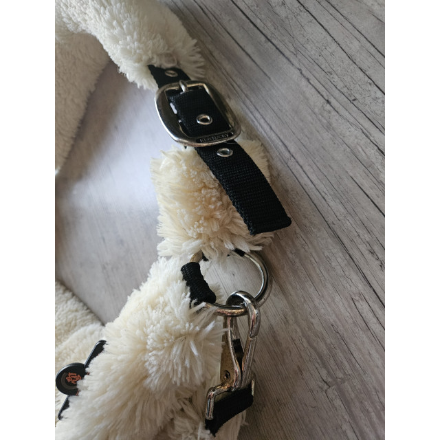 Licol Kentucky mouton