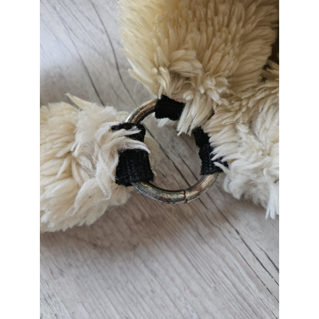 Licol Kentucky mouton