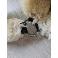 Licol Kentucky mouton