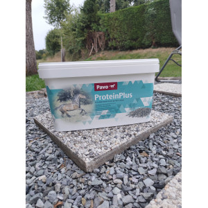 Pavo protéine plus