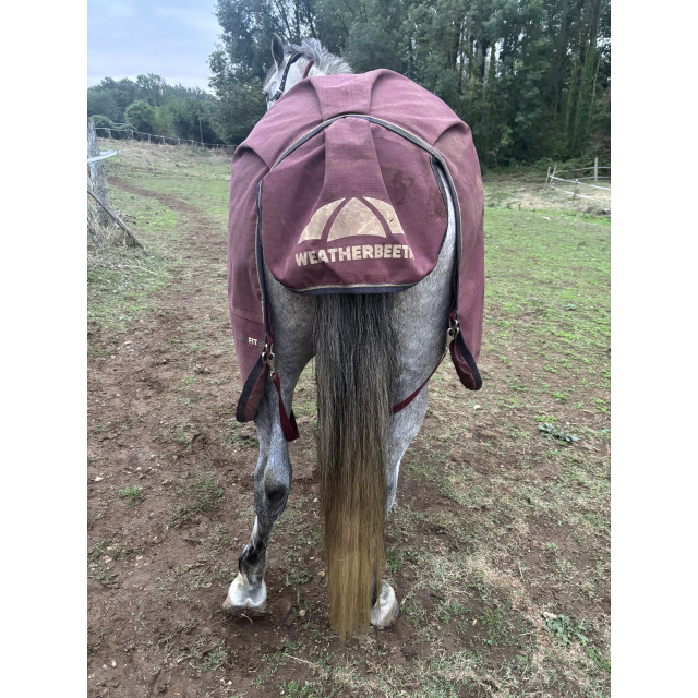 Couverture Wheatherbeta 125 cm