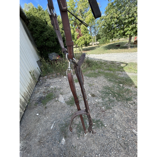 Collier de chasse et martingale CWD