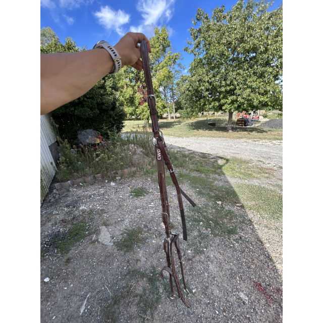 Collier de chasse et martingale CWD