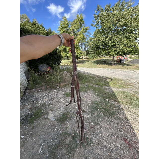 Collier de chasse et martingale CWD