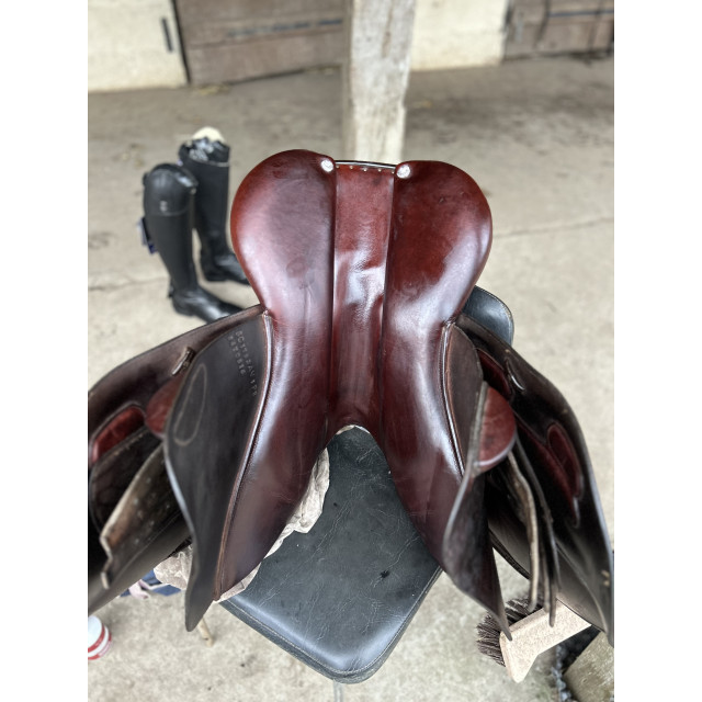 Selle GBS