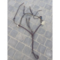 Collier de chasse et martingale cheval devoucoux havane