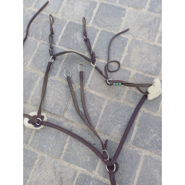 Collier de chasse et martingale cheval devoucoux havane