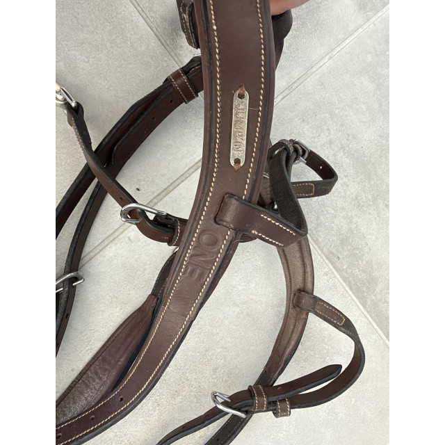 Collier de chasse martingale Jump’in
