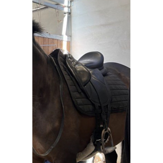 Selle dressage Devoucoux - Makila LAB 2022